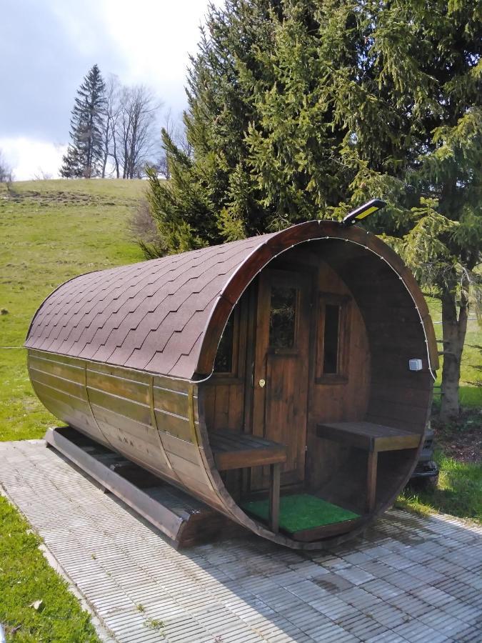 Penzion Iris Krkonose Horní Maršov Kültér fotó